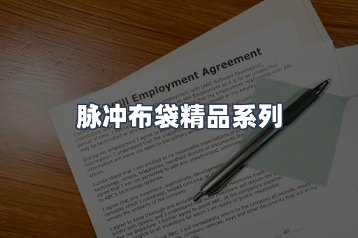 脉冲布袋精品系列