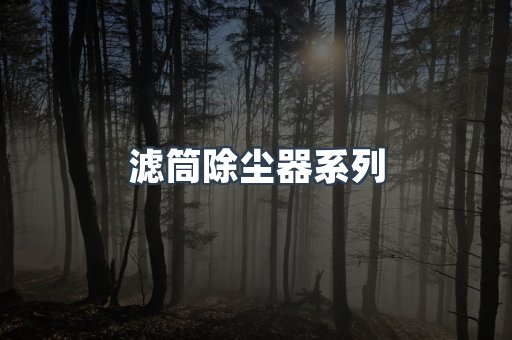滤筒除尘器系列